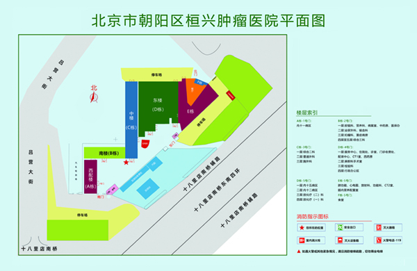 嗯啊好硬好爽操逼视频北京市朝阳区桓兴肿瘤医院平面图